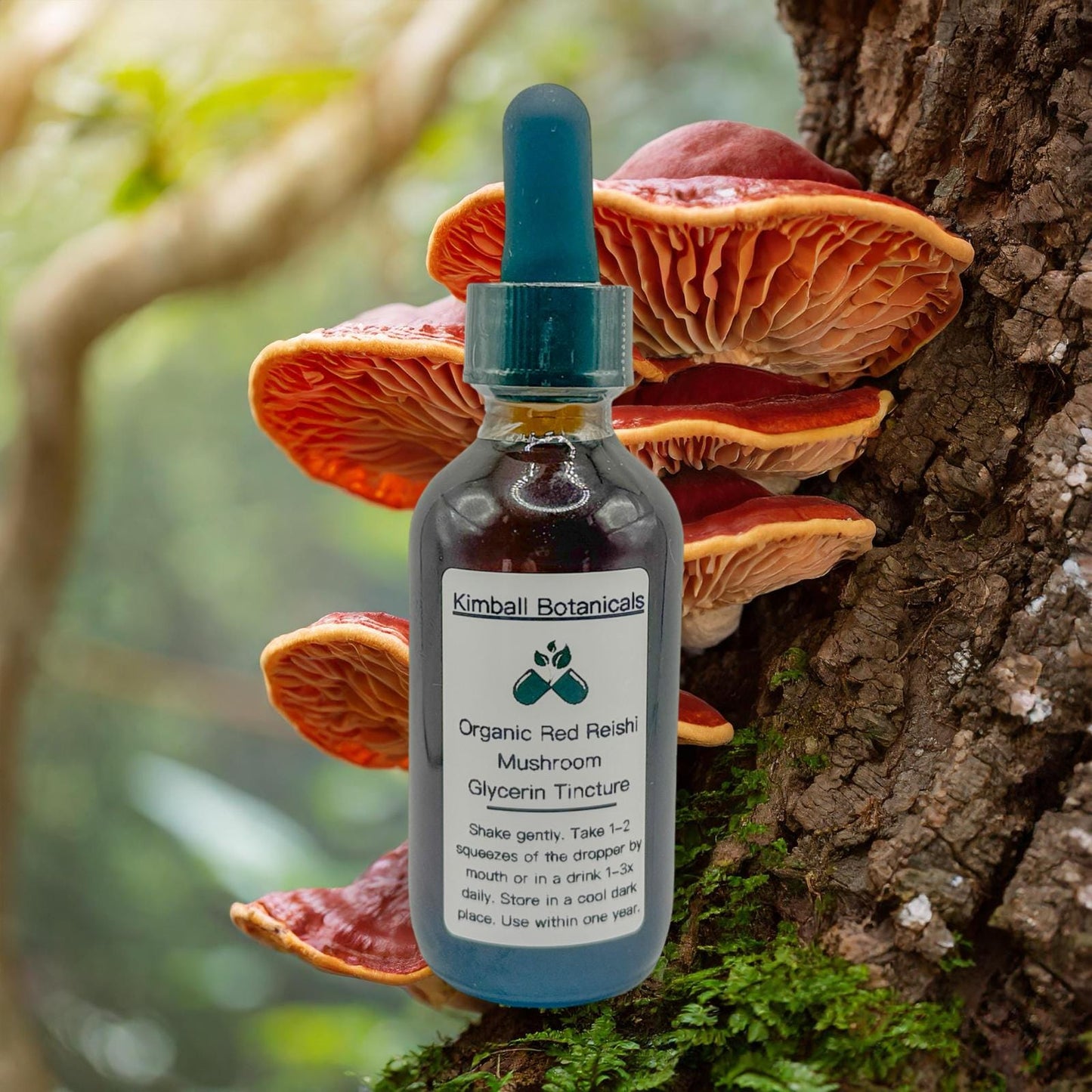USDA Organic Red Reishi Mushroom Double Extracted Glycerin Tincture