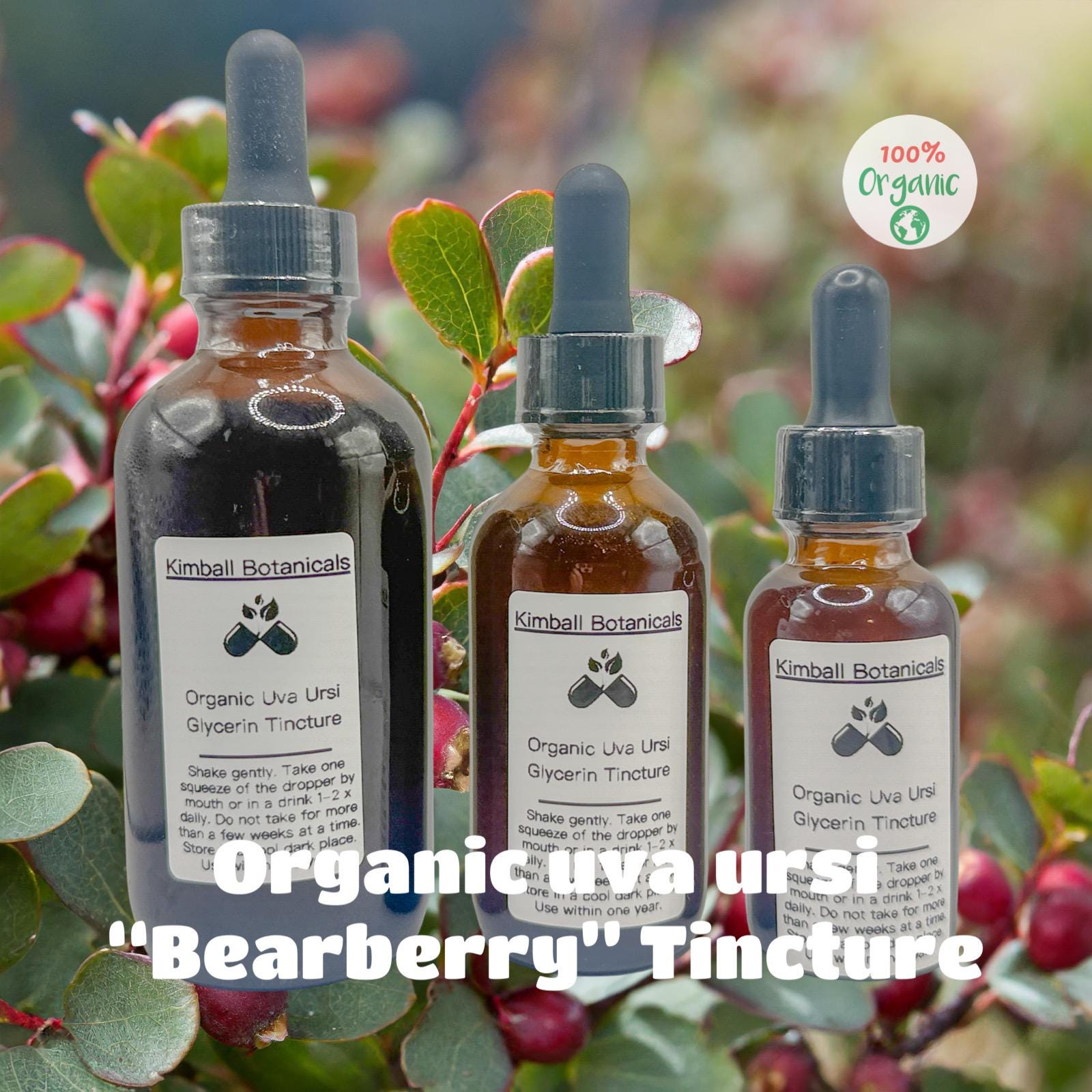 Certified Organic Uva Ursi "Bearberry" Leaf Glycerin Tincture Double Extracted