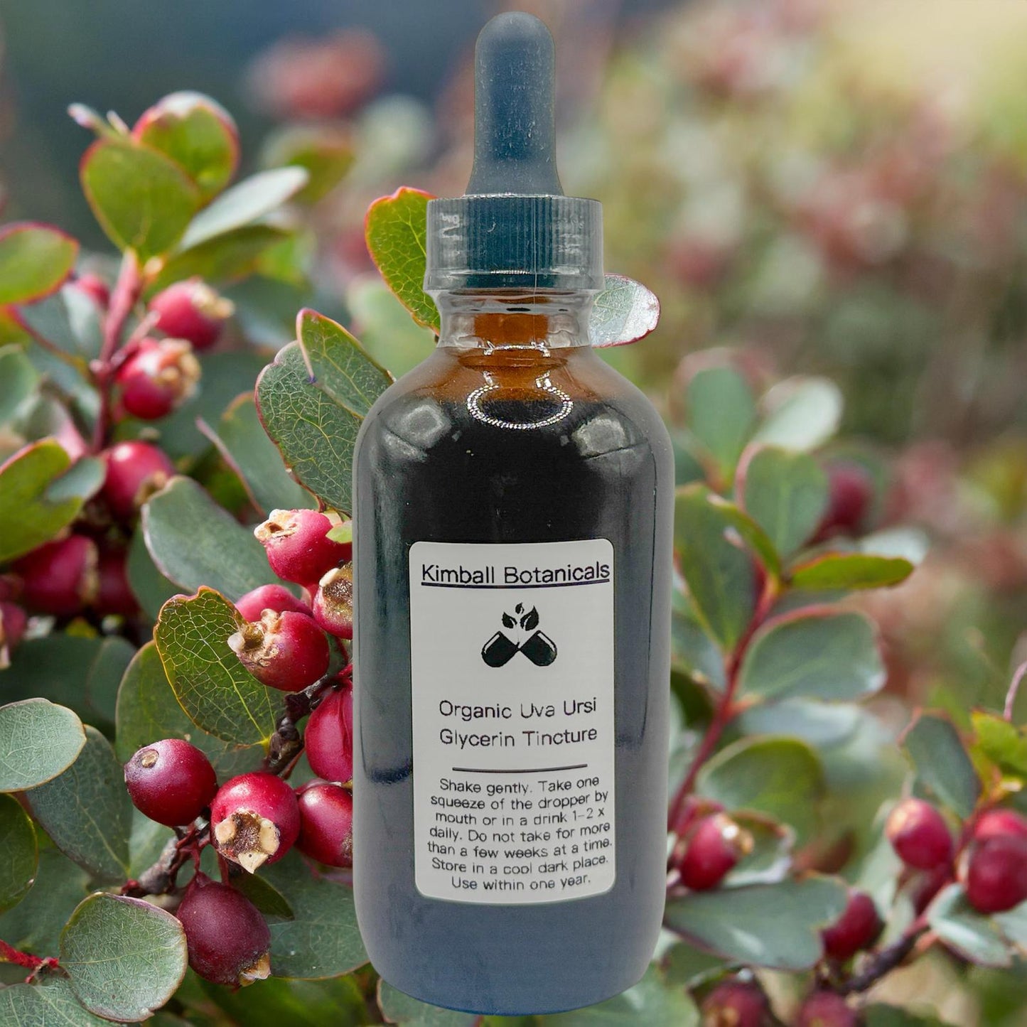Certified Organic Uva Ursi "Bearberry" Leaf Glycerin Tincture Double Extracted