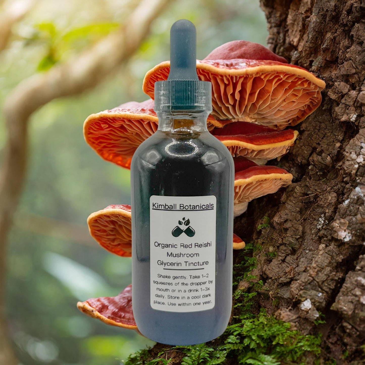 USDA Organic Red Reishi Mushroom Double Extracted Glycerin Tincture