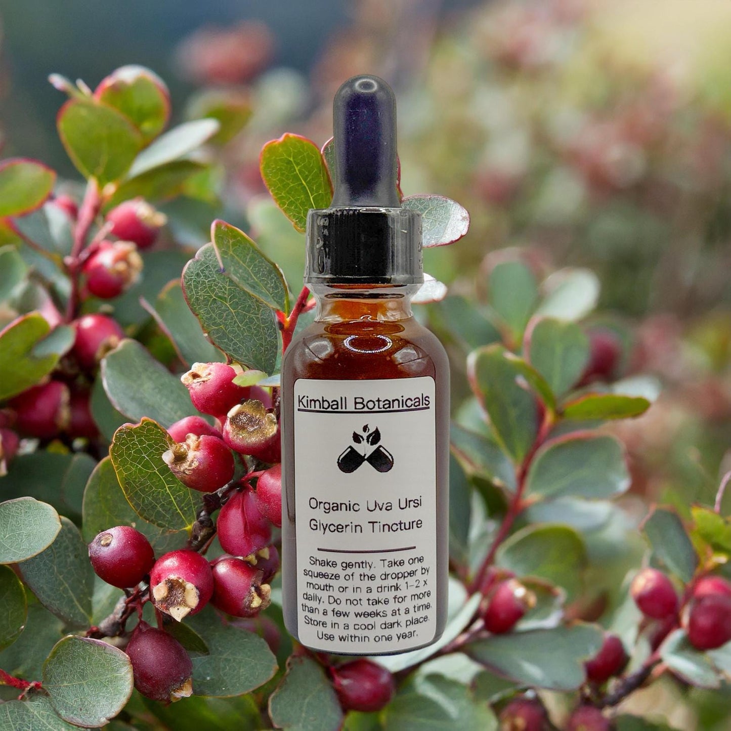 Certified Organic Uva Ursi "Bearberry" Leaf Glycerin Tincture Double Extracted