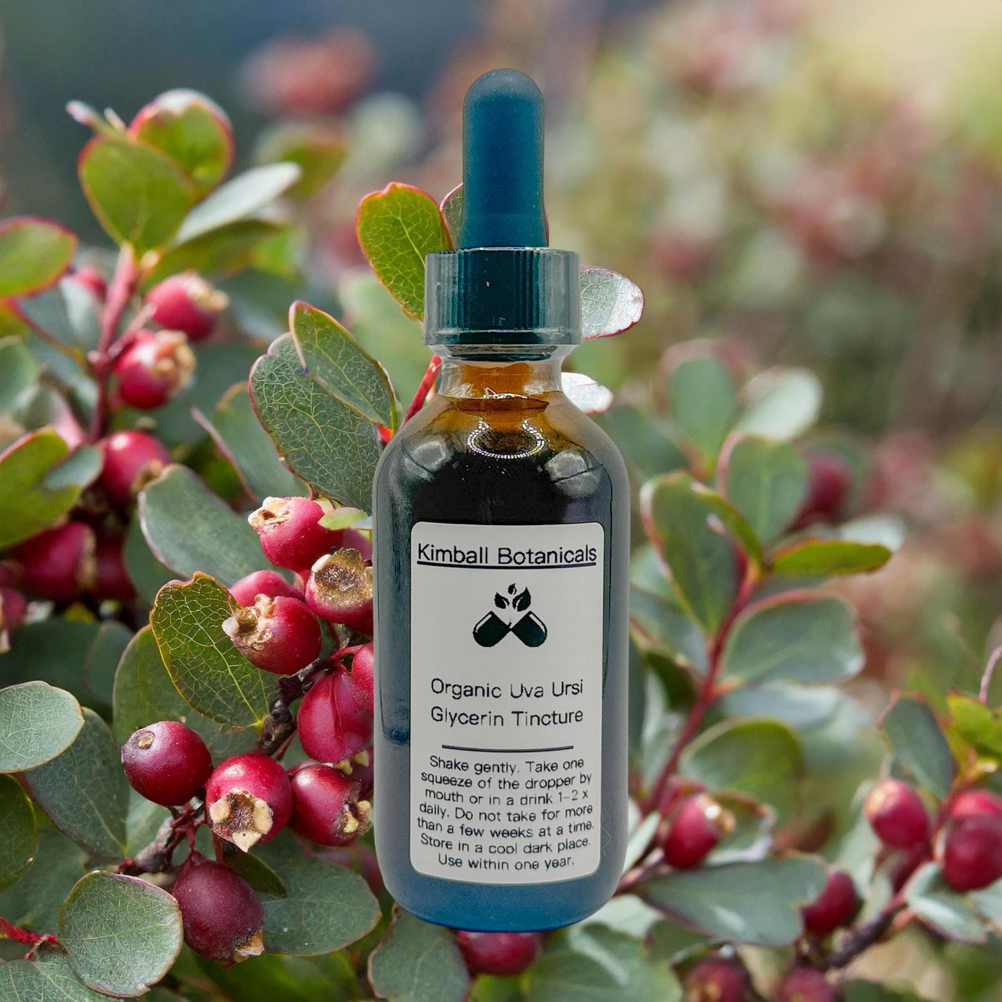 Certified Organic Uva Ursi "Bearberry" Leaf Glycerin Tincture Double Extracted