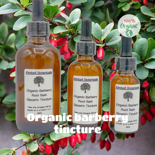 Organic Handcrafted Barberry Root Bark Extract Glycerin Tincture Double Extracted NON GMO