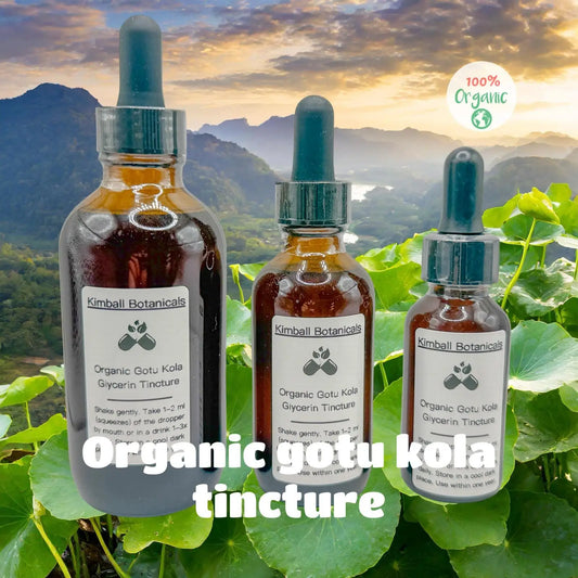 USDA Certified Organic Gotu Kola Glycerin Tincture Double Extracted sustainably harvested NON GMO