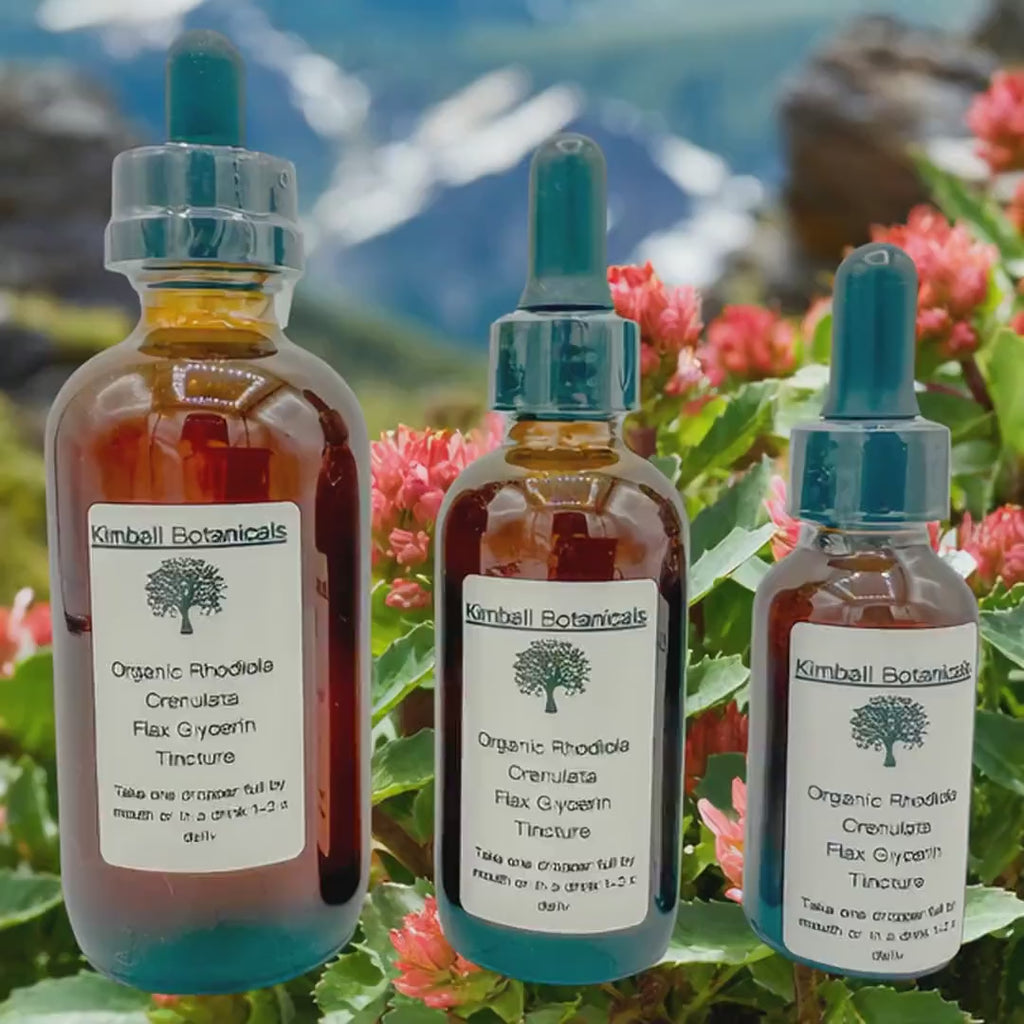 Organic Handcrafted Rhodiola Crenulata Vegetable Glycerin Tincture Double Extracted sustainably harvested
