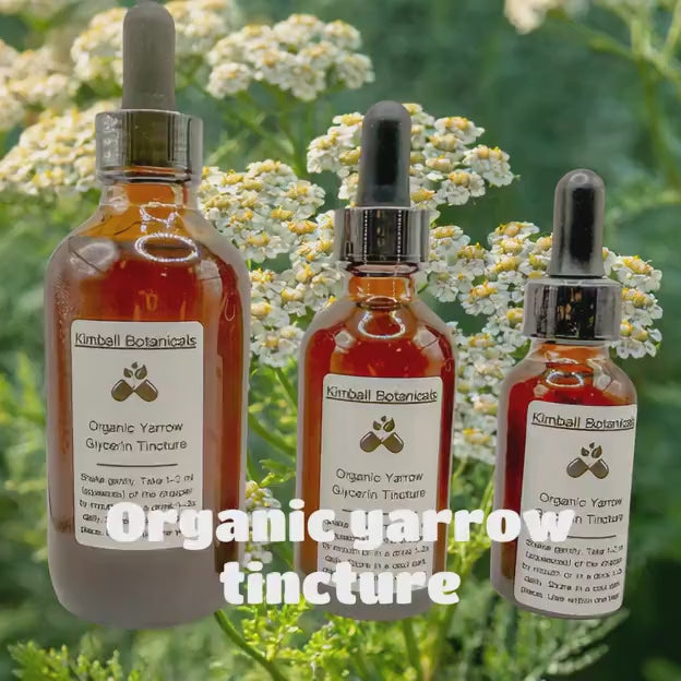 USDA Organic Yarrow Glycerin Tincture Double Extracted sustainably harvested NON GMO