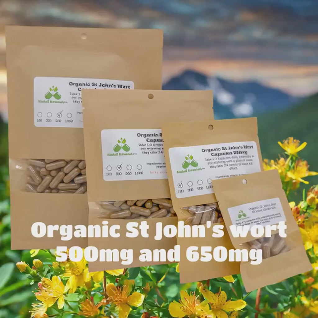 Certified Organic St. John’s Wort (Hypericum perforatum) 500mg and 650mg vegetarian or pullulan capsules or tincture, made fresh to order