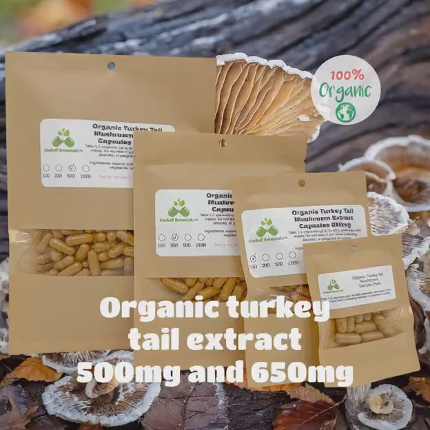 Organic Turkey Tail Extract (Trametes versicolor) Mushroom 500mg and 650mg vegetarian or pullulan capsules