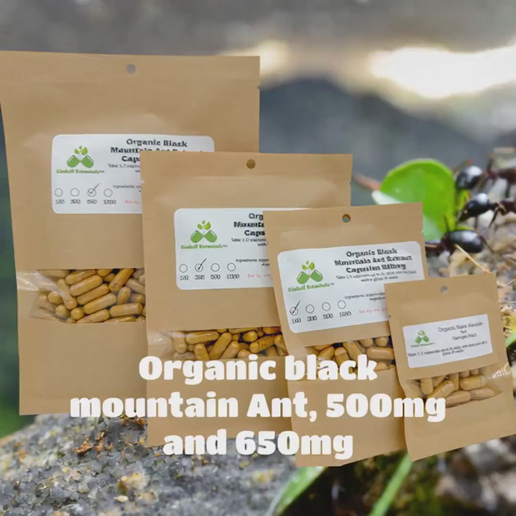 Organic Black Mountain Ant (Polyrhachis lamellidens) 20:1 extract, 500mg and 650mg vegetarian or pullulan capsules made fresh to order.