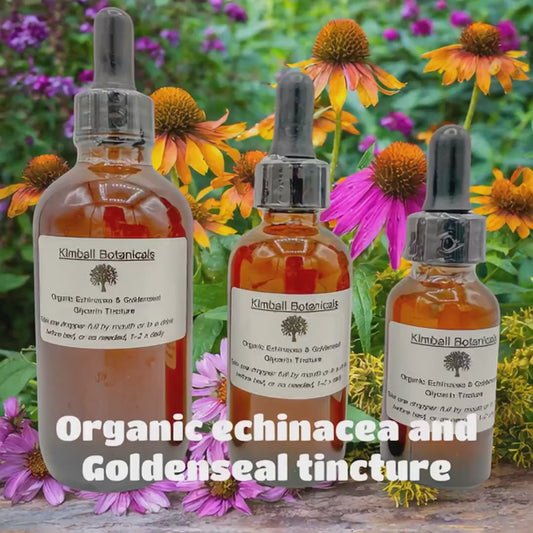 USDA Organic Echinacea Goldenseal Wild Harvested Glycerin Tincture sustainably harvested NON GMO