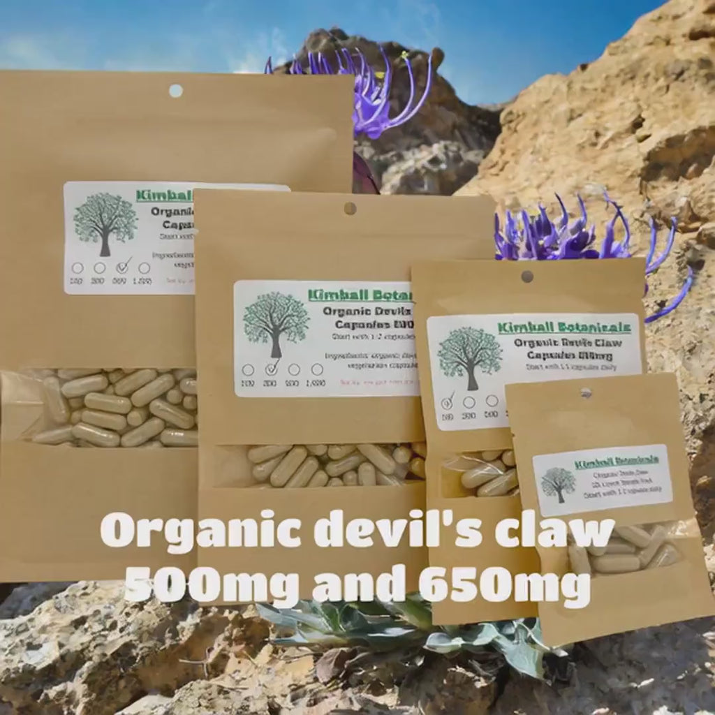 Organic Devils Claw Root (Harpagophytum procumbens) Wild Harvested 500mg vegetarian capsules made fresh to order