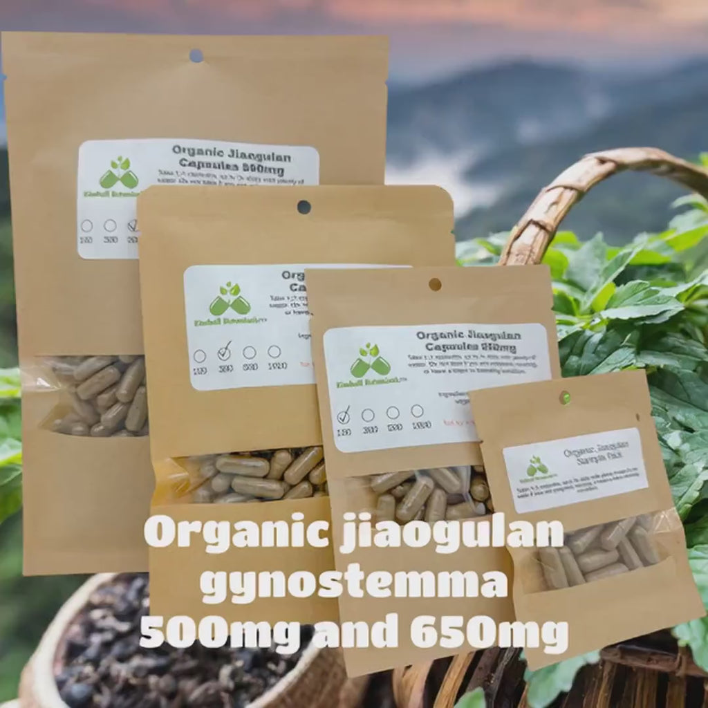 Organic Jiaogulan (Gynostemma pentaphyllum) 500mg and 650mg, vegetarian or pullulan capsules, made fresh to order