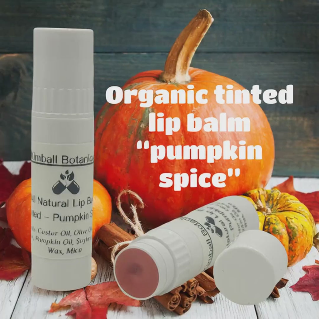 Organic All Natural Handcrafted Tinted Lip Balm, "Pumpkin Spice" made with organic Pumpkin Seed Oil