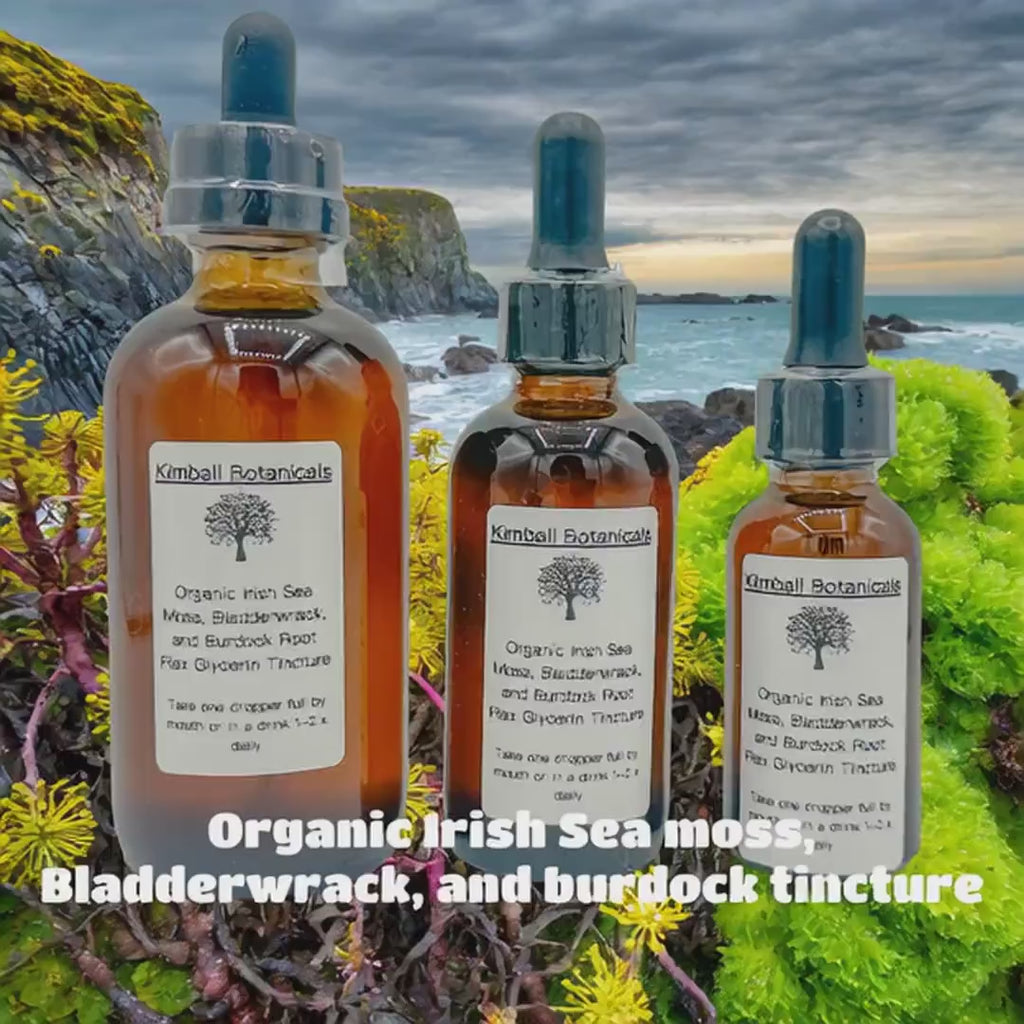USDA Organic Irish Moss, Bladderwrack, and Burdock Root Double Extracted Glycerin Tincture sustainably harvested NON GMO