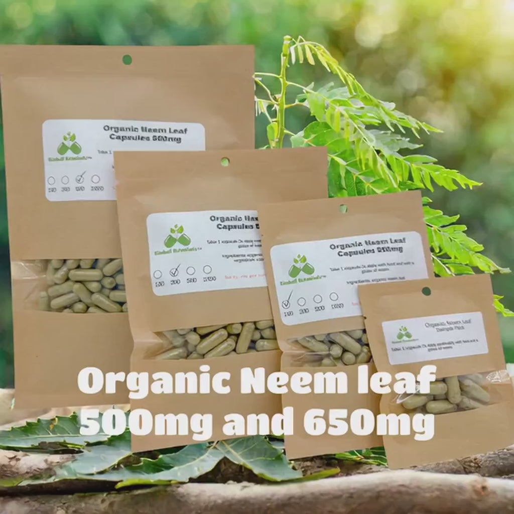 USDA Certified Organic Neem Leaf (Azadirachta indica) 500mg or 650mg Vegetarian or pullulan capsules made fresh to order.