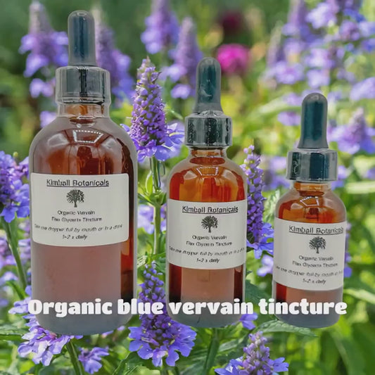 USDA Certified Organic Handcrafted Blue Vervain Glycerin Tincture Double Extracted, sustainably harvested NON GMO