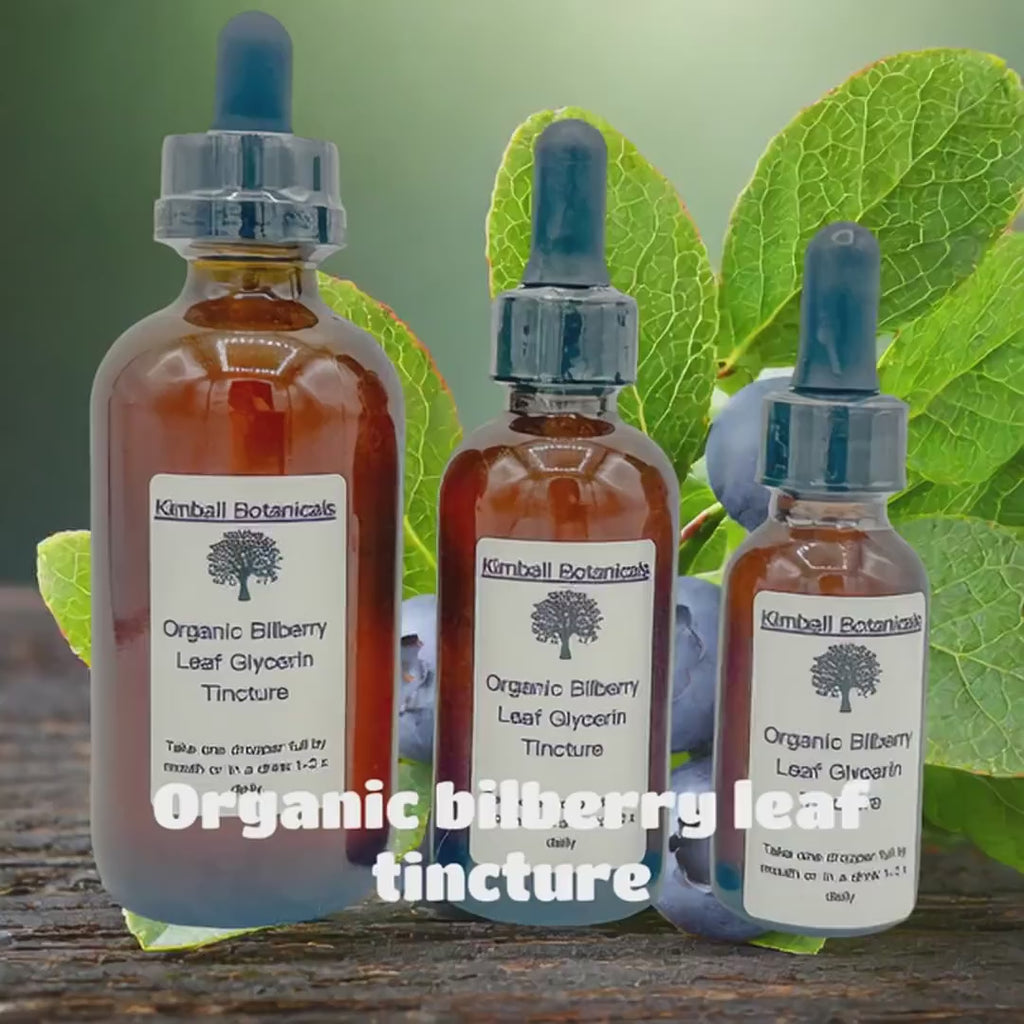 Certified Organic Handcrafted Bilberry Leaf Double Extracted Glycerin Tincture sustainably harvested NON GMO