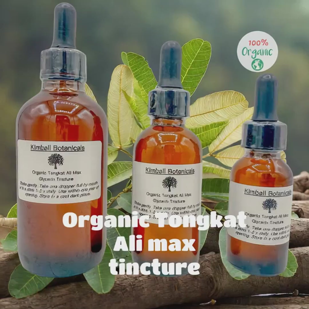 Organic Wildcrafted Tongkat Ali MAX Double Extracted Glycerin Tincture sustainably harvested NON GMO