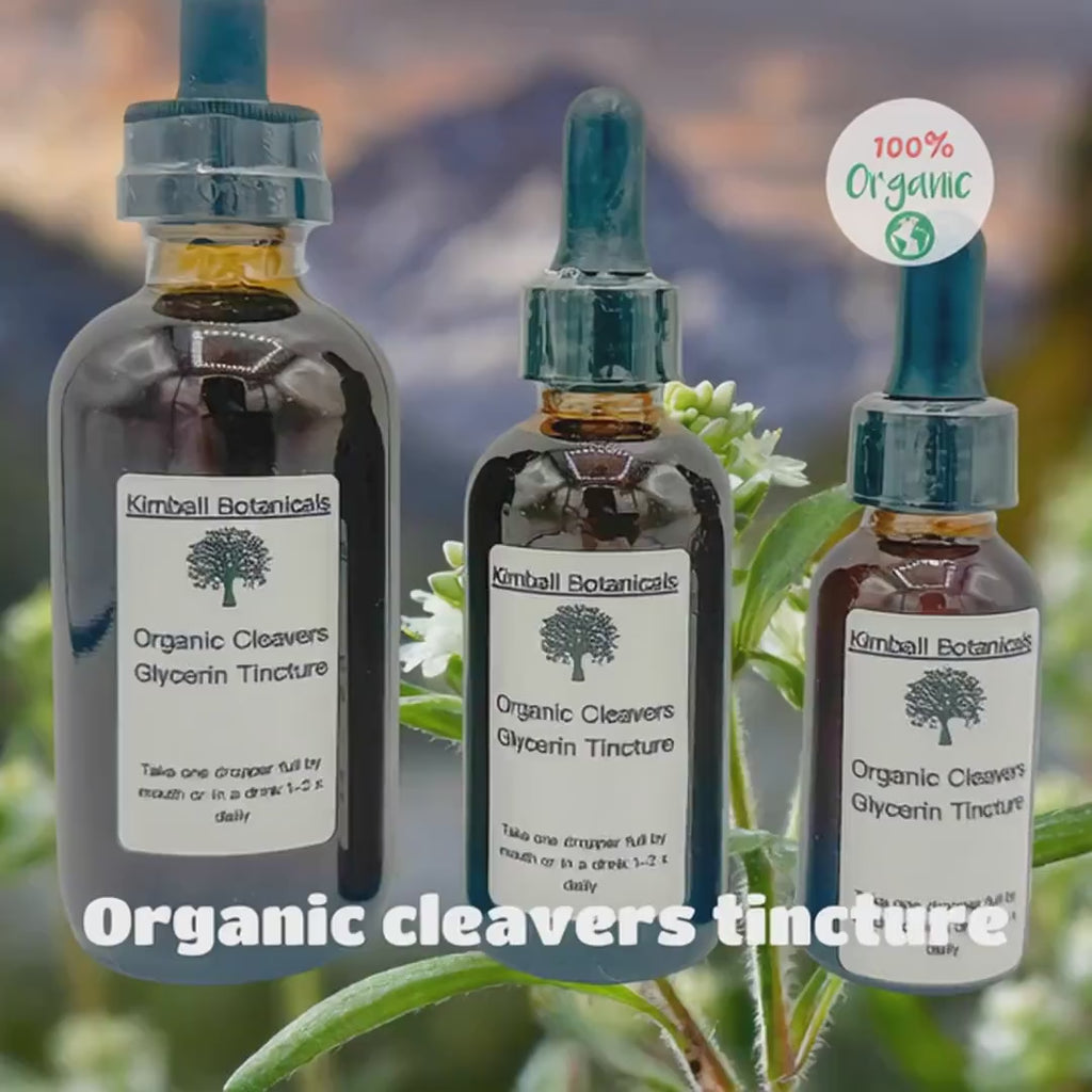 USDA Certified Organic Handcrafted Cleavers Vegetable Glycerin Tincture Double Extracted