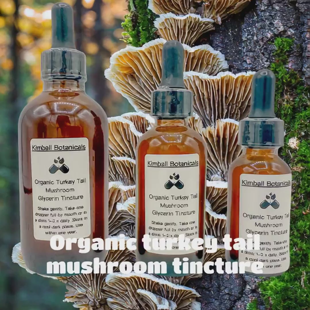 USDA Organic Turkey Tail Mushroom Double Extracted Glycerin Tincture