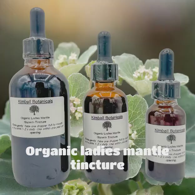 Organic Ladies Mantle (Alchemilla mollis) Liquid Extract Glycerin Tincture Double Extracted NON GMO