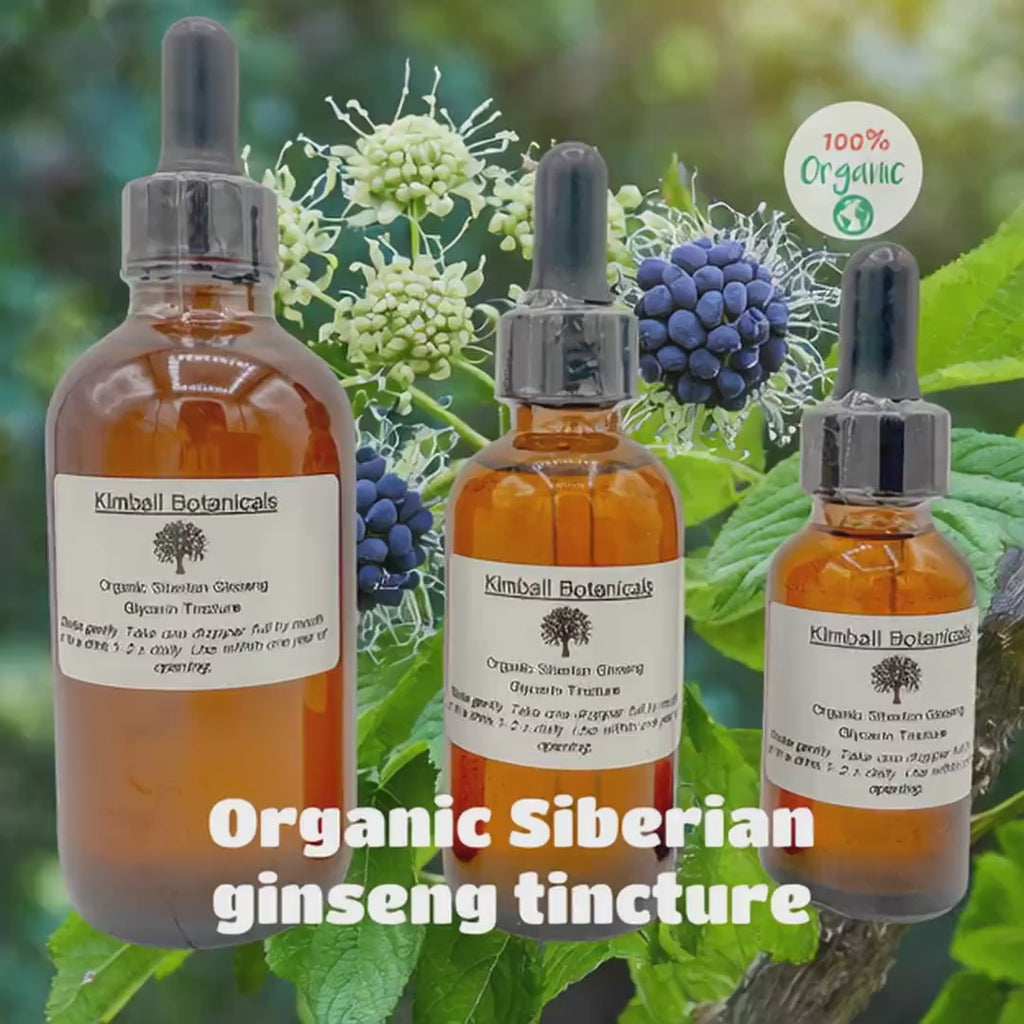 Organic Wildcrafted Siberian Ginseng Root Glycerin Tincture Double Extracted sustainably harvested NON GMO