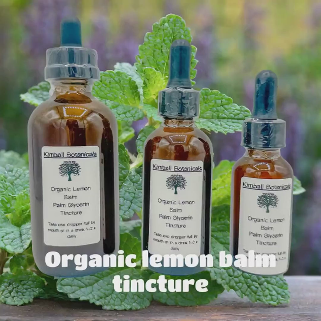 USDA Organic Handcrafted Lemon Balm Leaf (melissa officinalis) Vegetable Glycerin Tincture sustainably harvested NON GMO