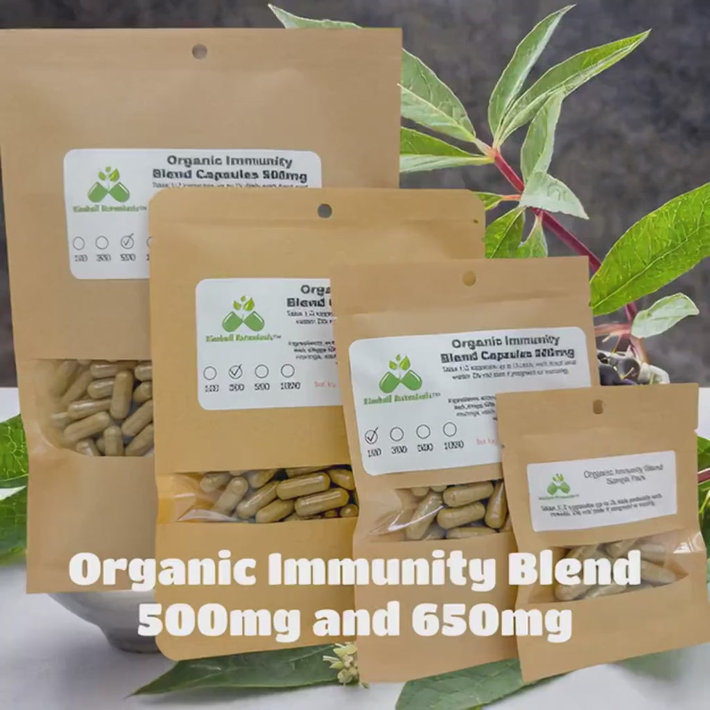 Organic Immunity Blend, 500mg, elderberry, echinacea, goldenseal, vegetarian capsules made fresh to order