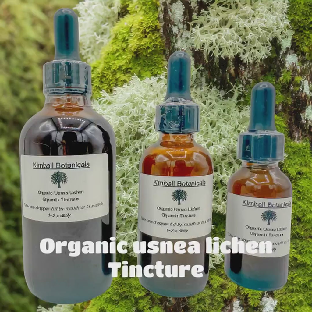 Wild Harvested, Organic Usnea Lichen (Usnea barbata) Glycerin Tincture Double Extracted, sustainably harvested NON GMO