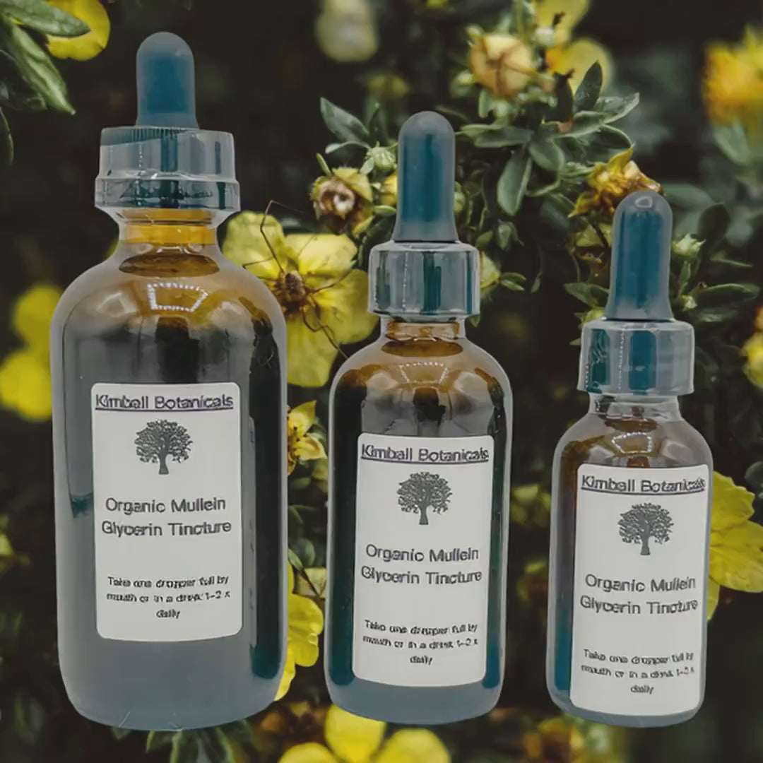Certified Organic Handcrafted Mullein Leaf Vegetable Glycerin Tincture double extracted, sustainably harvested NON GMO
