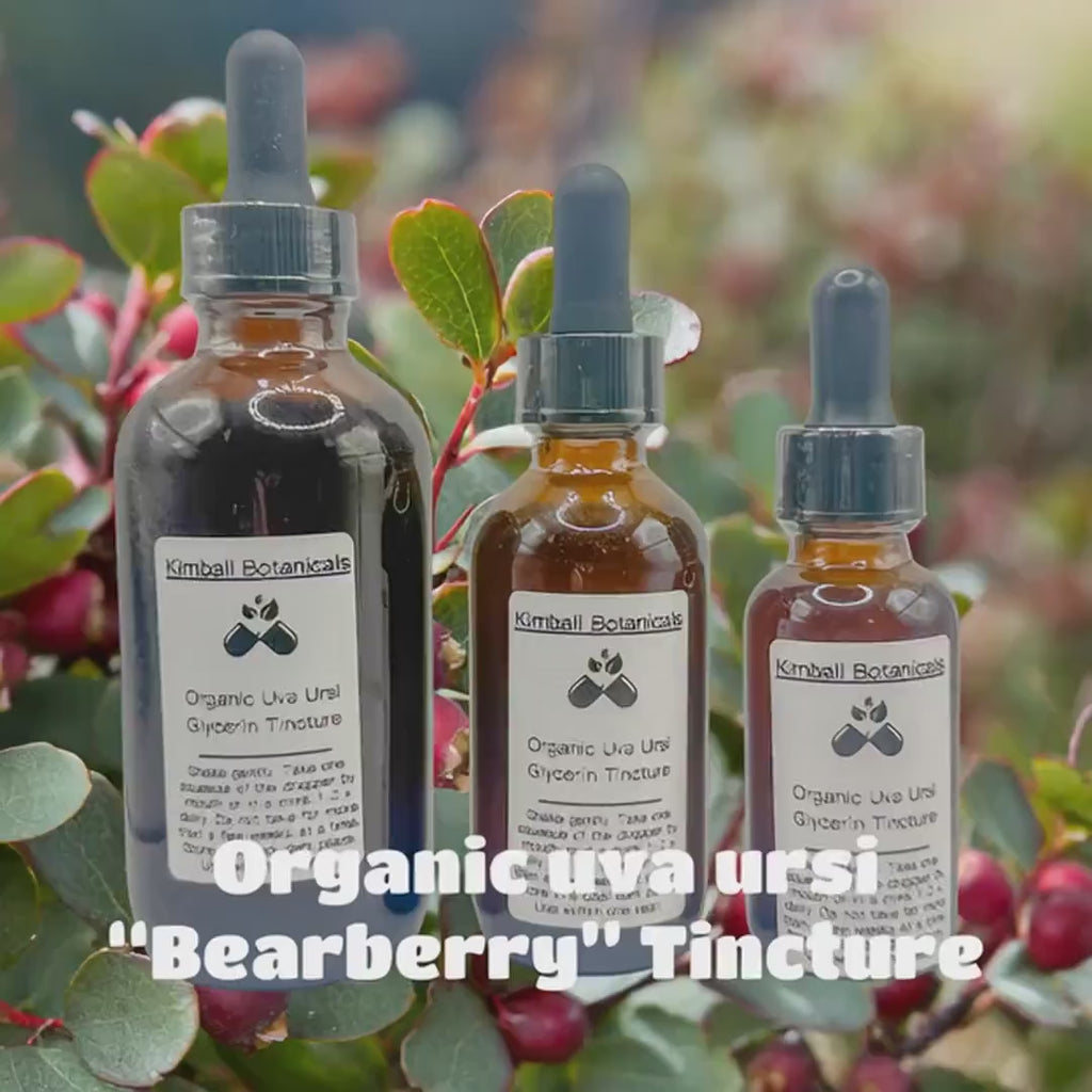 Certified Organic Uva Ursi "Bearberry" Leaf Glycerin Tincture Double Extracted