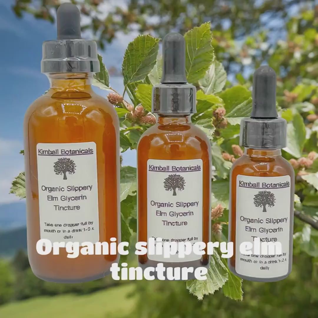 USDA Certified Organic Slippery Elm (Ulmus rubra) Glycerin Tincture Double Extracted, sustainably harvested NON GMO