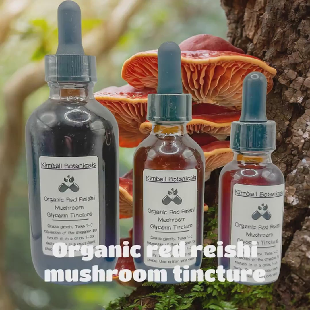 USDA Organic Red Reishi Mushroom Double Extracted Glycerin Tincture