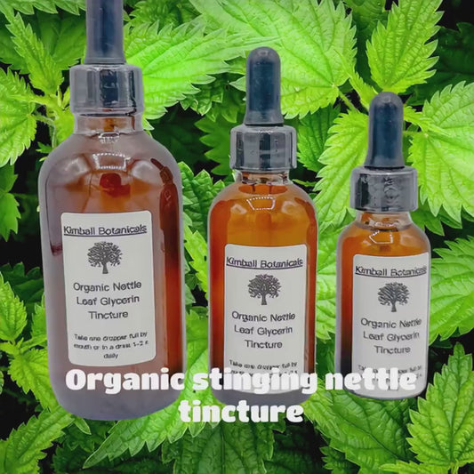 USDA Certified Organic Handcrafted Nettle Leaf Glycerin Tincture Double Extracted sustainably harvested NON GMO