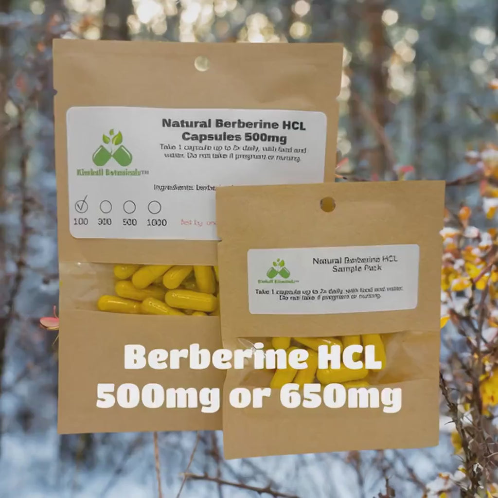 Natural Berberine HCL (berberis aristata) 500mg and 650mg vegetarian capsules made fresh to order