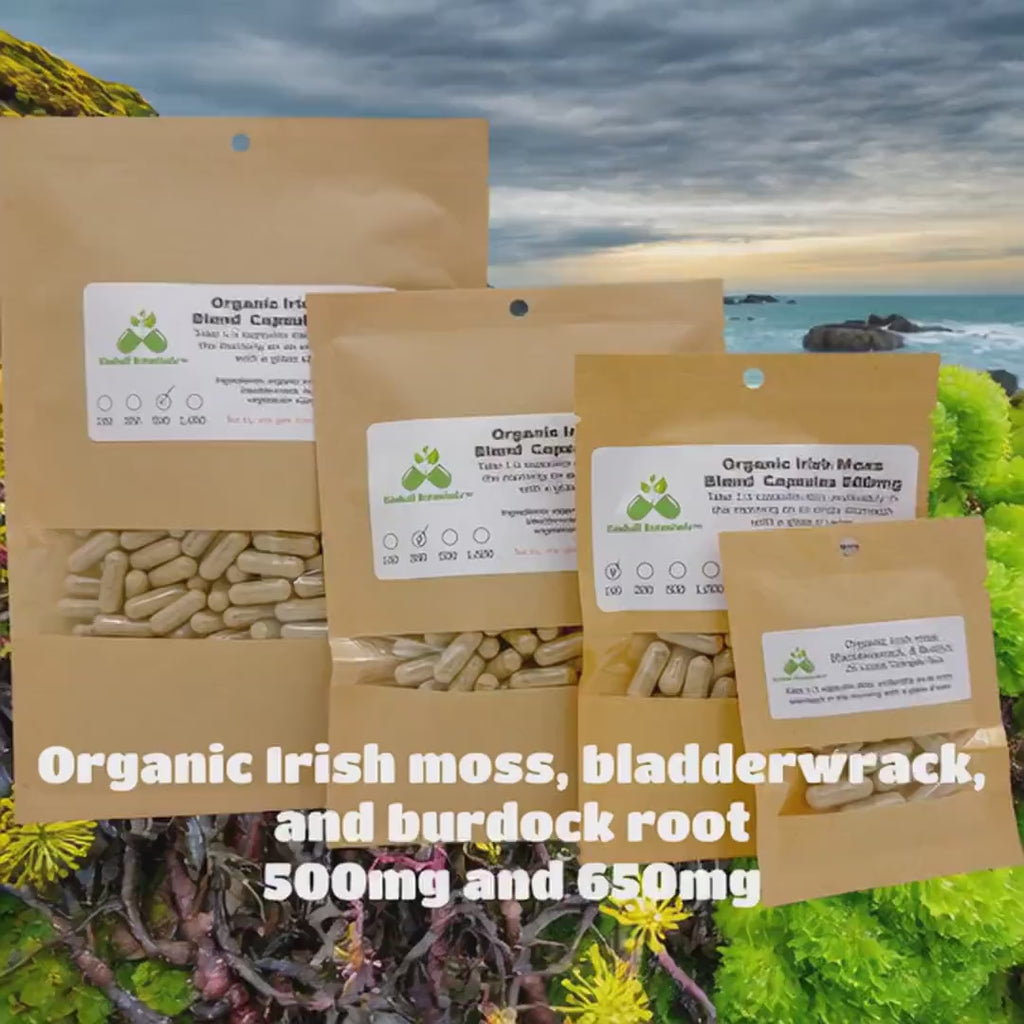 Organic Irish Moss Bladderwrack and Burdock 500mg and 650mg vegetarian or pullulan capsules or tincture, made fresh to order.