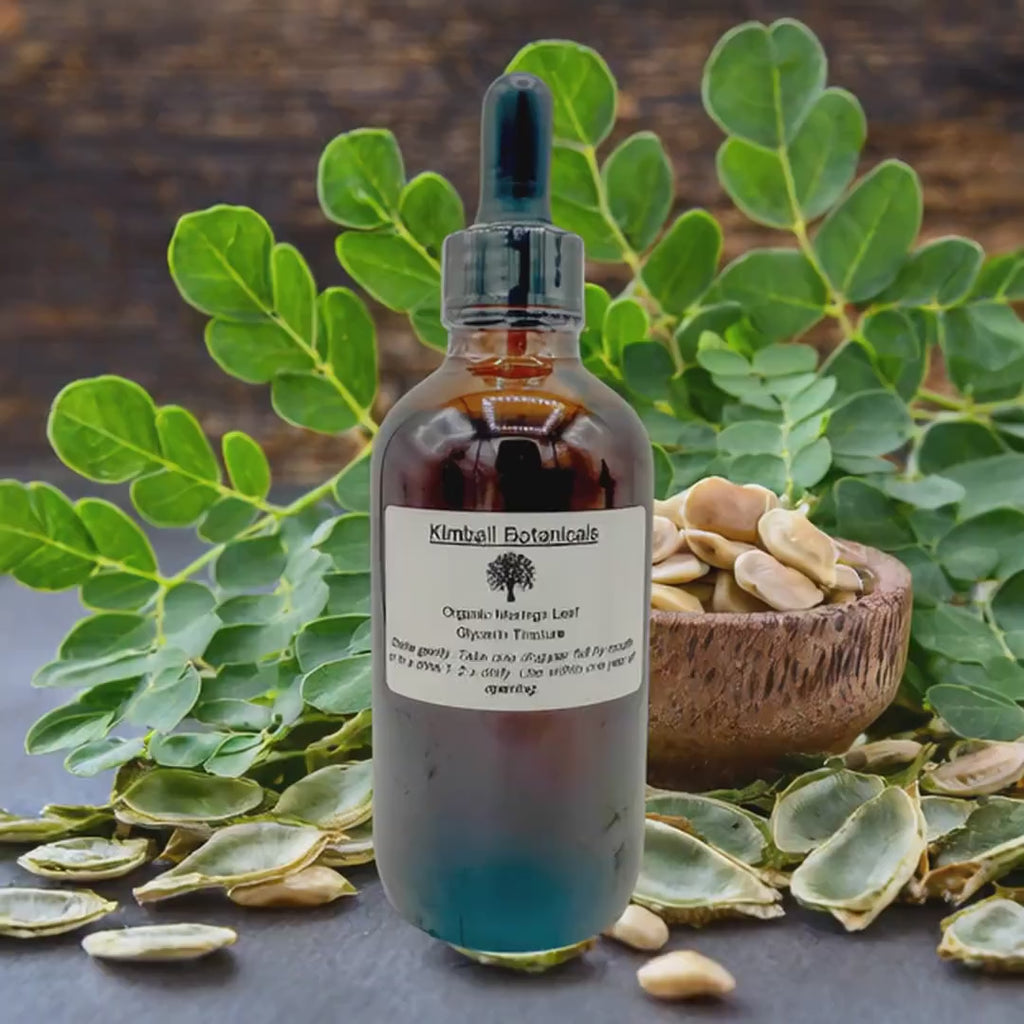 Organic Handcrafted Moringa Leaf Vegetable Glycerin Tincture Double Extracted sustainably harvested NON GMO