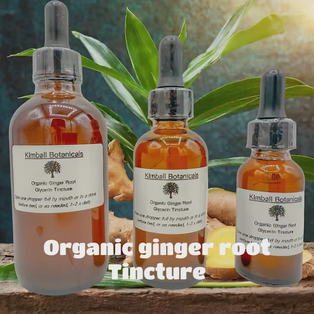 Certified Organic Ginger Root Glycerin Tincture Double Extracted sustainably harvested NON GMO