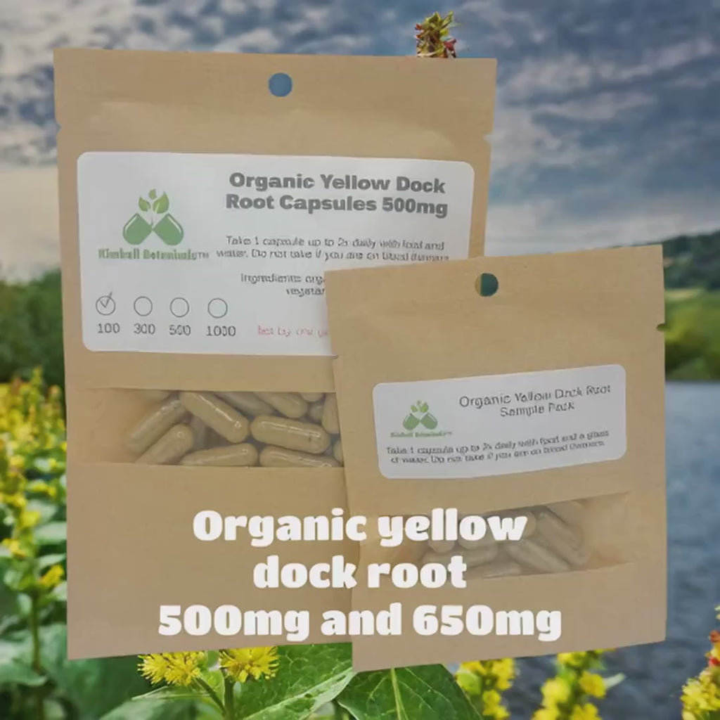 Certified Organic Yellow Dock Root (rumex crispus) 500mg and 650mg vegetarian capsules or tincture, made fresh to order