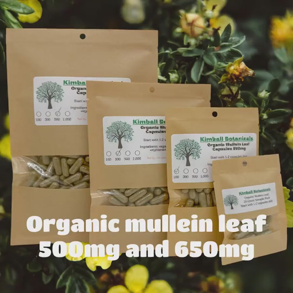Certified Organic Mullein Leaf (verbascum) 500mg and 650mg vegetarian capsules or glycerin tincture, made fresh to order