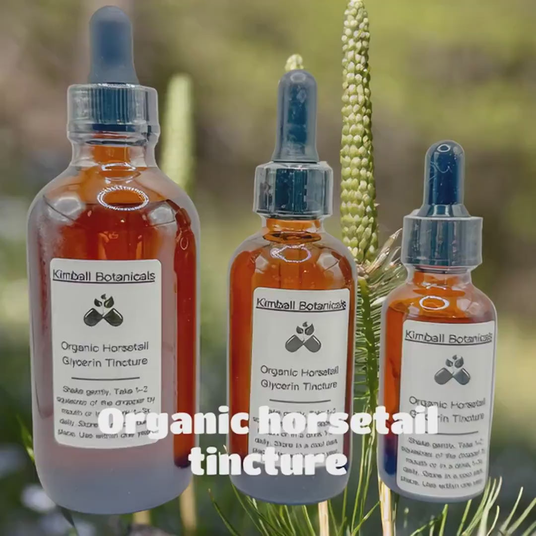 USDA Certified Organic Handcrafted Horsetail Glycerin Tincture double extracted, sustainably harvested NON GMO