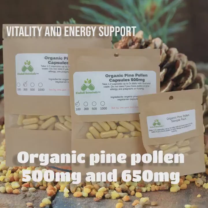 Organic Pine Pollen Capsules – Wildcrafted Herbal Supplement for Vitality, Energy & Daily Wellness Support | Non-GMO